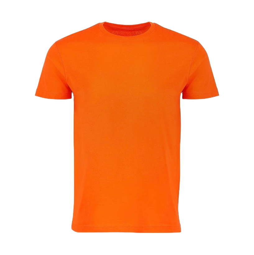 Everyday T-Shirt Blank