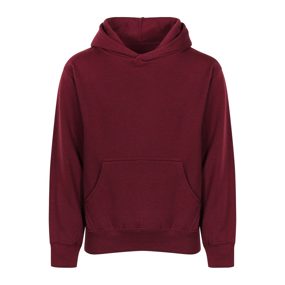 Youth Hoodie